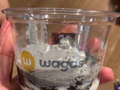 -Wagas沃歌斯(大学路店)