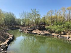 -大兴滨河森林公园