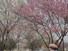 -武汉园博园(武汉自然博物馆)