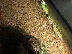 -几荷·恰似故人来(秀水广场店)