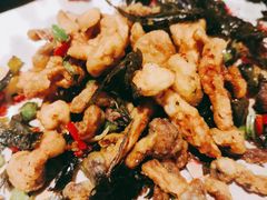 观音茶香菌-纳地素食(石门公园店)