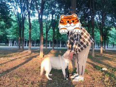 -北京京卫宠物寄养训练中心