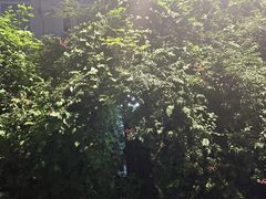 -斯多格书乡(北京大学畅春园店)