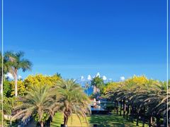 -三亚海棠湾万丽度假酒店