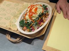 -油梨树AVOCADO TREE(顺义新国展店)