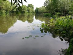 -新江湾城公园