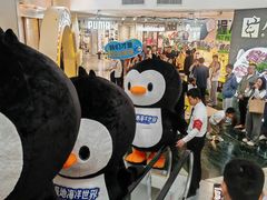 -正佳雨林生态植物园