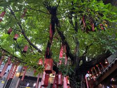 -重庆十八梯传统风貌区