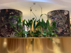 -本小姐美学·半永久纹眉野生眉