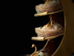 -龙凤点心饼家·39年老字号(松岗店)