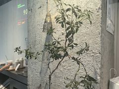 -喜茶(珠海华发商都店)