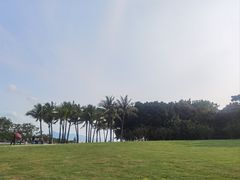 -深圳湾公园(南山区)