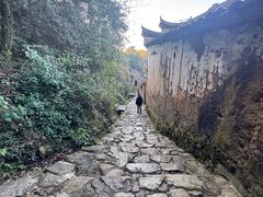 -杨家堂村