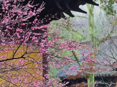 -慧因高丽寺