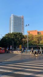 -学舞岛·成人少儿舞蹈培训