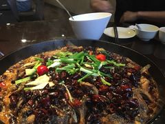 老板恋上鱼-老板恋上鱼(环山路店)
