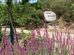-白水寺森林公园