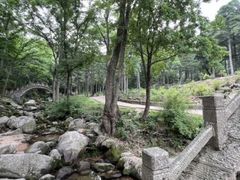 -洛阳白云山景区