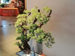 -端艾堂·SPA·艾灸(棕榈泉013店)