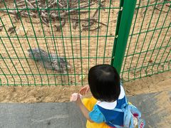 -三亚海棠湾万丽度假酒店