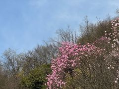 -九皇山景区