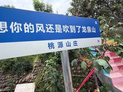 -桃源山庄·水蜜桃采摘·柴火鸡·烧烤团建(龙泉山店)