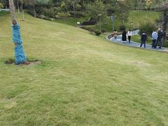 -重庆平顶山公园
