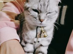 -H立方实景剧情密室(天河旗舰店)