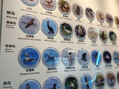 -大连市规划展示中心