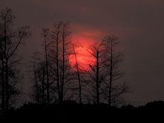 -广富林郊野公园