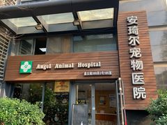 -爱侣·安琦尔宠物医院·中兽医针灸·心内科·狂犬免疫点(宝山区院)