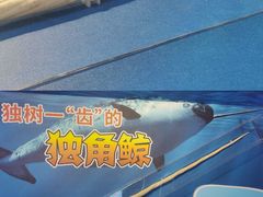 -浙江自然博物院(杭州馆)