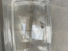 -管氏翅吧(护国寺店)