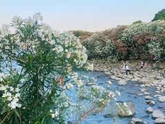 -上海吴淞炮台湾国家湿地公园