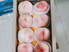 -老袁家蜜桃农场·阳山水蜜桃