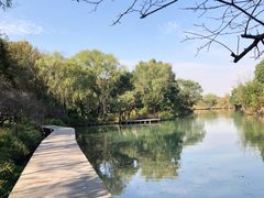 -西溪国家湿地公园