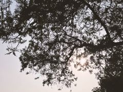 -颐和园