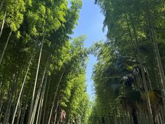 -黄公望隐居地
