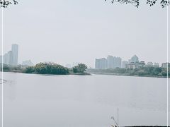 -南宁南湖公园