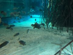 -福州罗源湾海洋世界旅游区