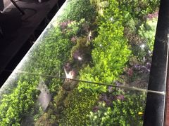 -炭舍干锅·烤鱼(扬名广场店)