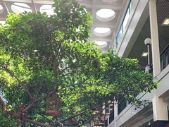 -广州酒家(文昌总店)
