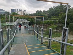 -深圳野生动物园