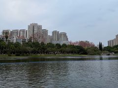 -南宁南湖公园