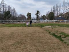 -前小桔亲子创意农场·草莓采摘·露营烧烤