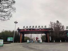 -黄海国家森林公园