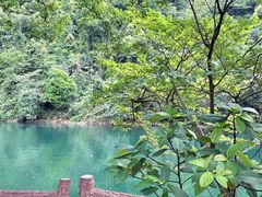 -鼎湖山风景区
