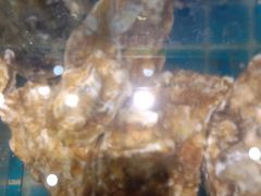 -蓝珊甄选海鲜自助·火锅大排档(近阿那亚店)