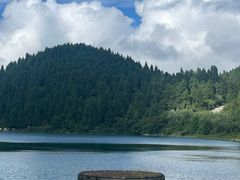 -武陵山森林公园