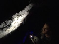 -怀托摩萤火虫洞